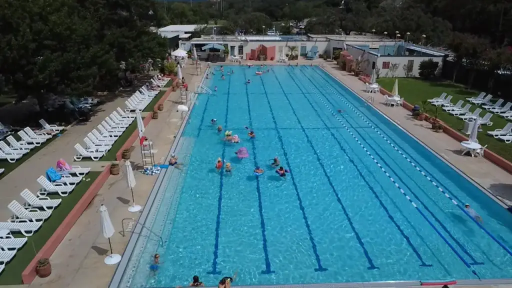 Elevated view of the Olympic-size pool with lane lines, loungers and umbrellas along the deck